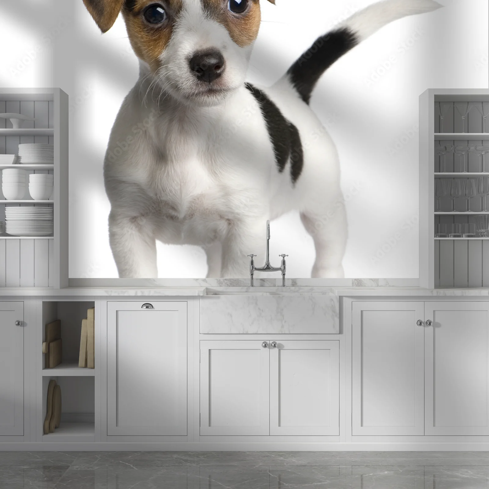 Urocze szczenię Jack Russell na białym tle