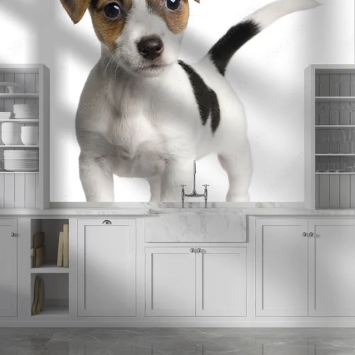 Urocze szczenię Jack Russell na białym tle
