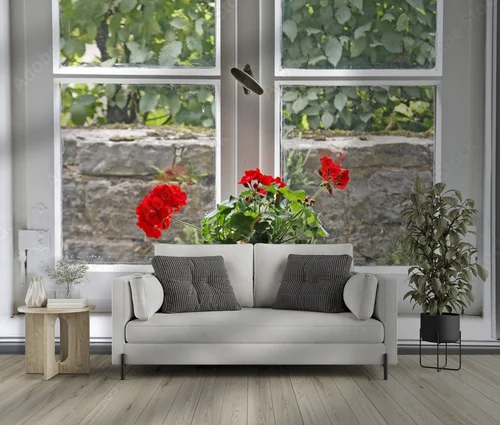 Romantyczny widok na geranium w białym świetle