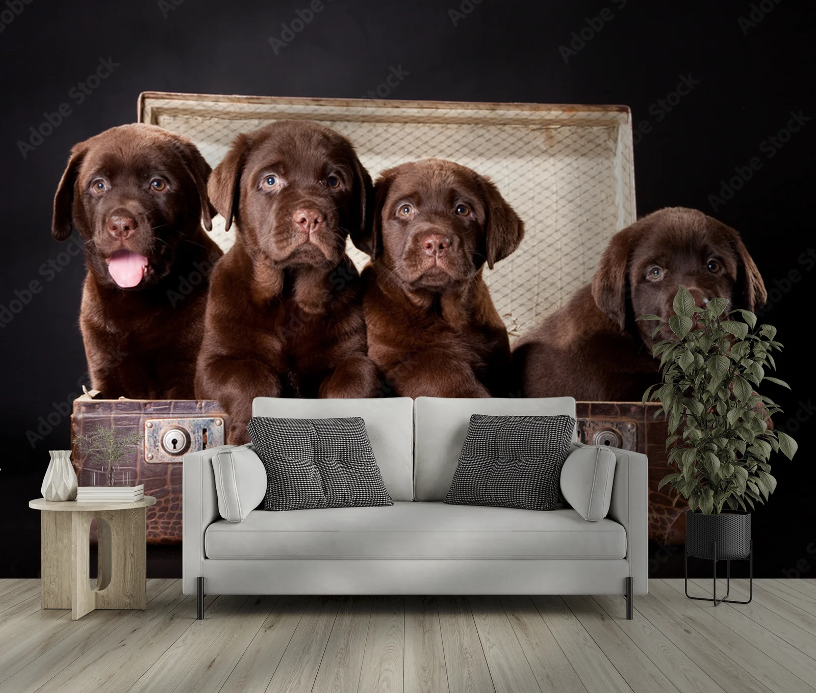 Cztery urocze szczenięta Labradorów w vintage walizce