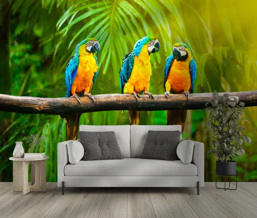 Radosne macaw w słonecznych barwach