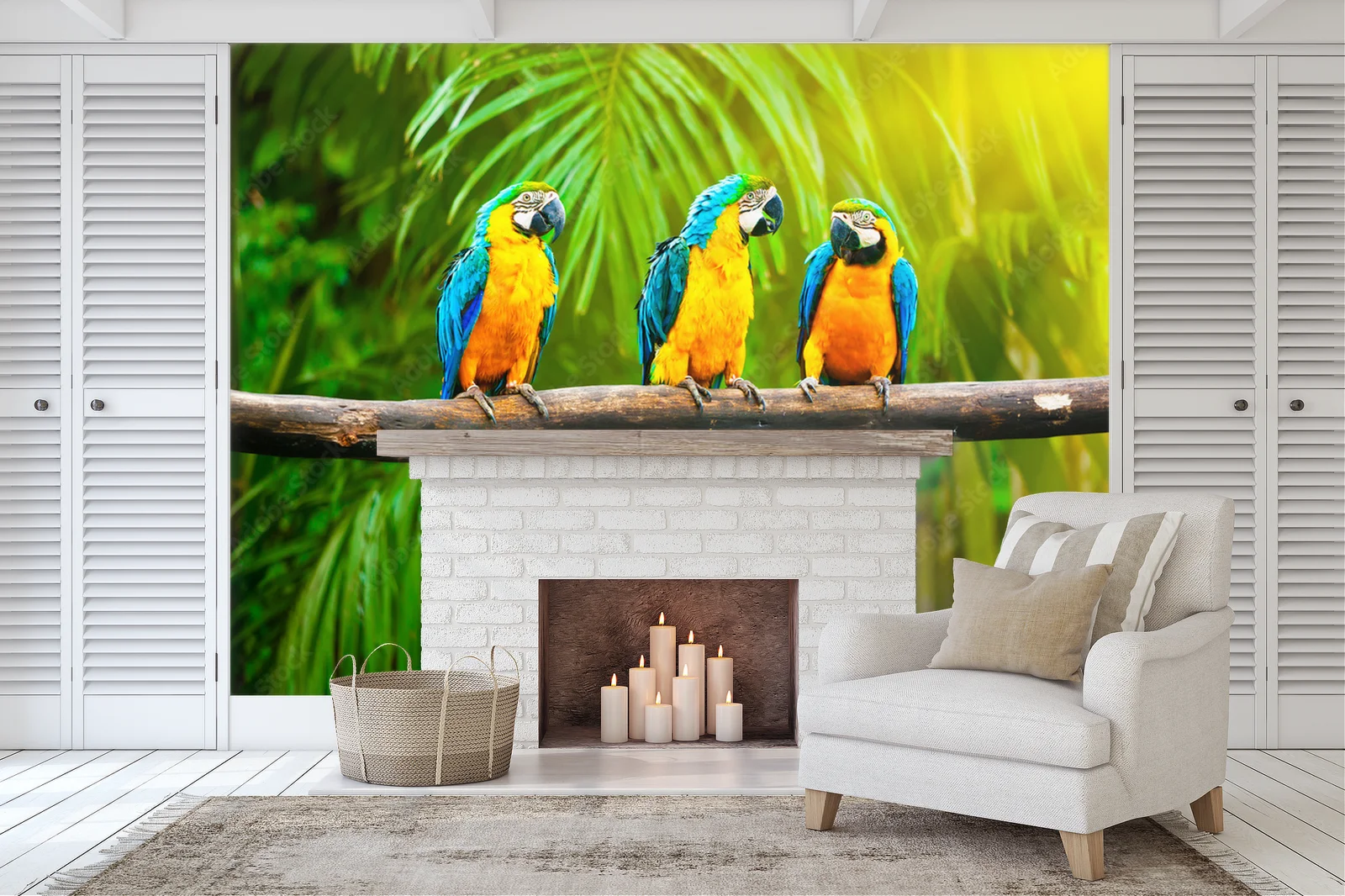 Radosne macaw w słonecznych barwach