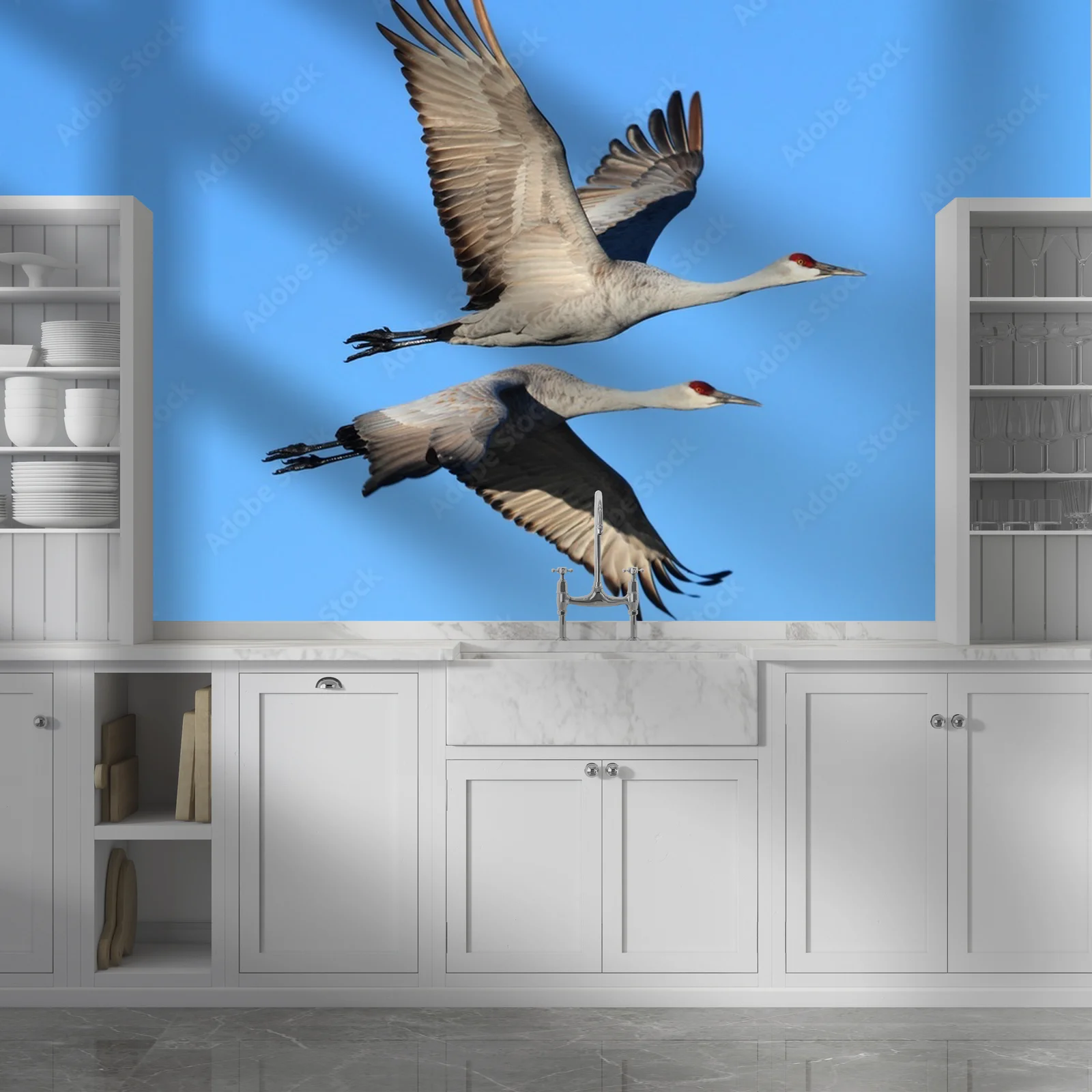 Elegancja w błękicie: Grus canadensis w szlachetnych tonacjach