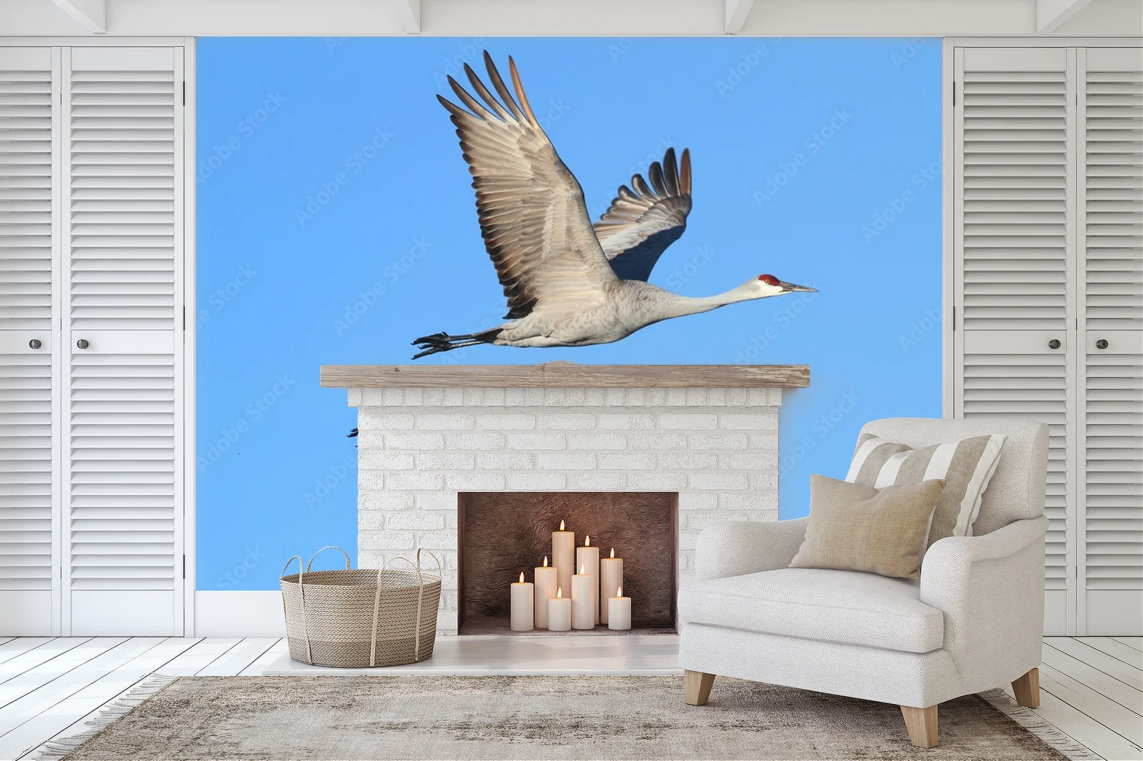 Elegancja w błękicie: Grus canadensis w szlachetnych tonacjach