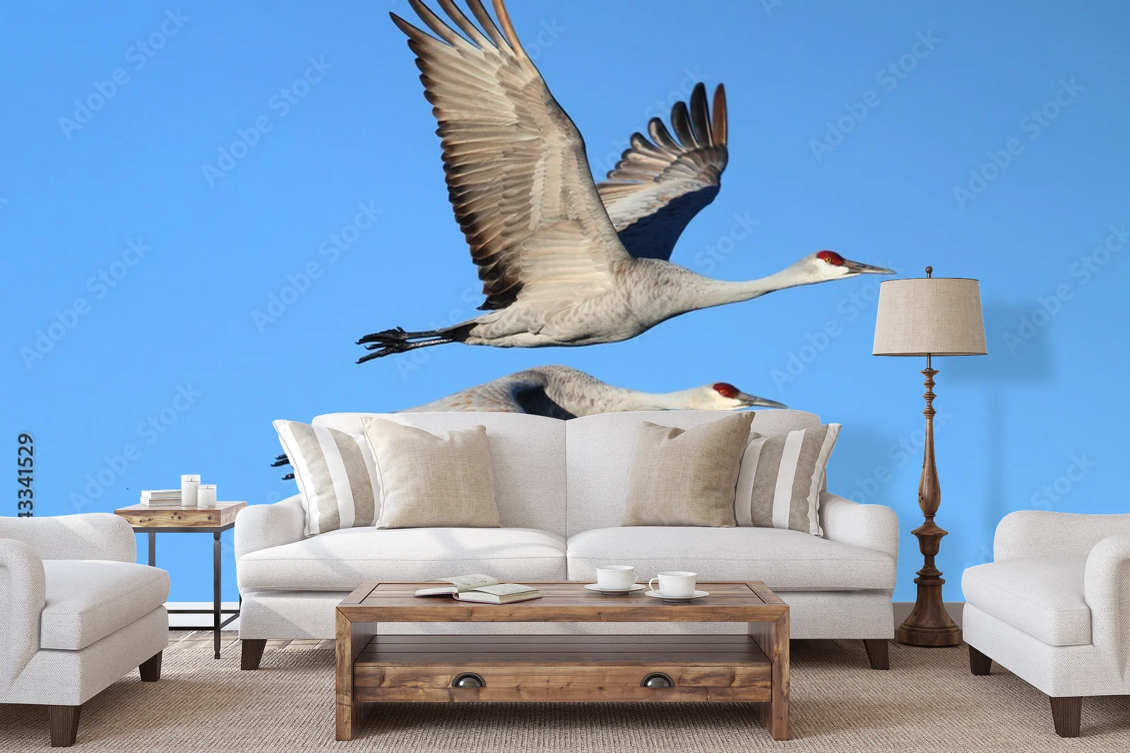 Elegancja w błękicie: Grus canadensis w szlachetnych tonacjach