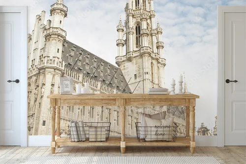 Elegancka architektura Brukseli w stonowanej szarości