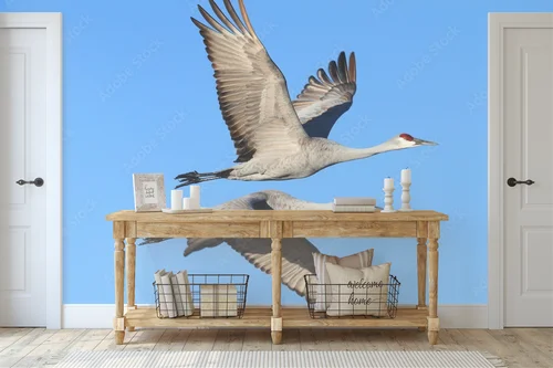 Elegancja w błękicie: Grus canadensis w szlachetnych tonacjach