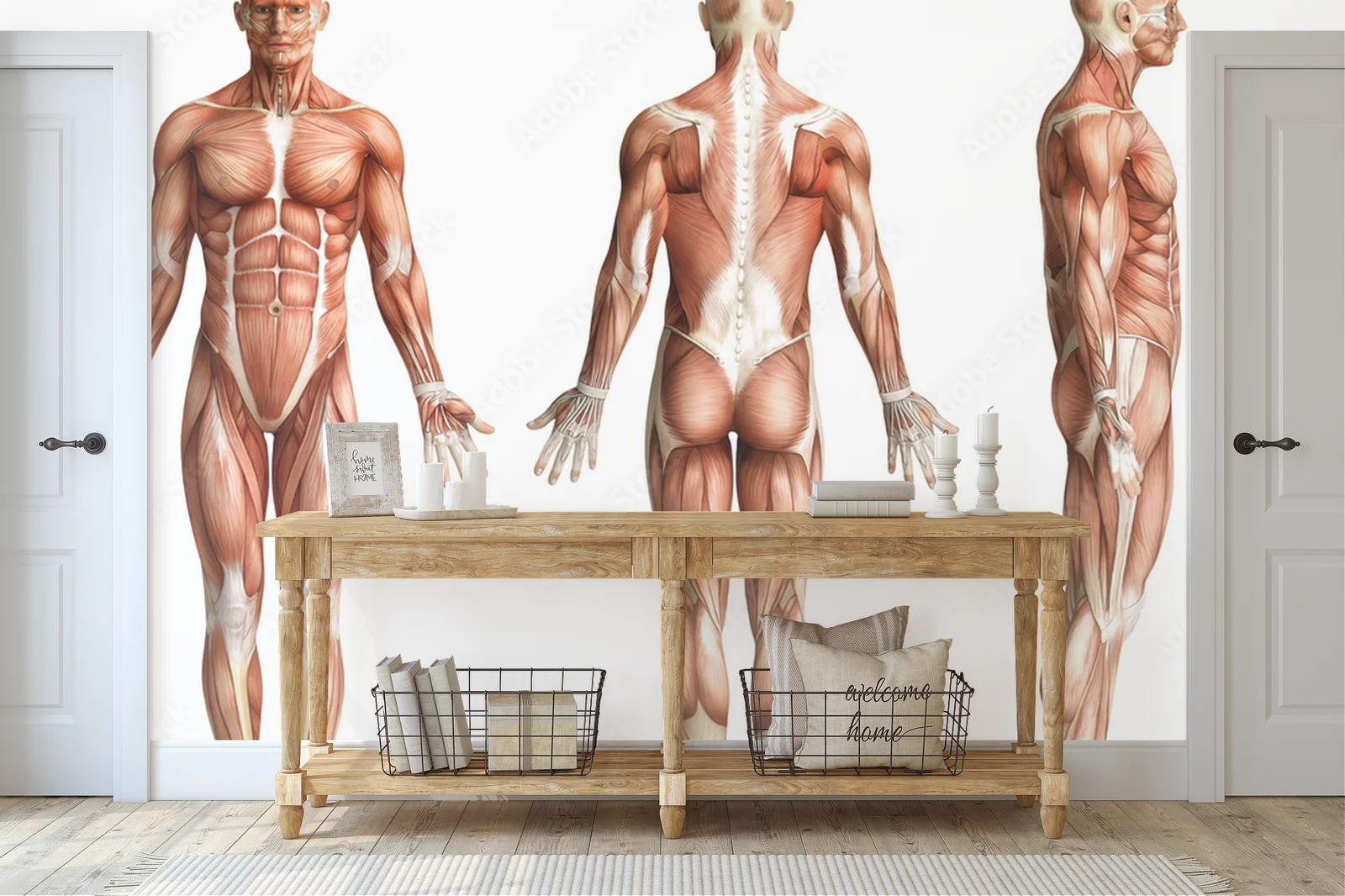 Anatomia człowieka w subtelnej bieli