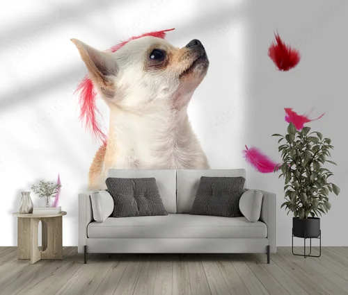 Radosne chwile z eleganckim chihuahua w różowych piórach