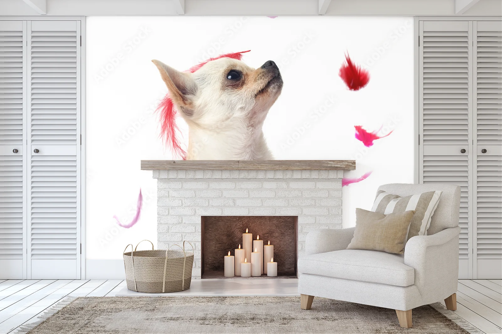 Radosne chwile z eleganckim chihuahua w różowych piórach