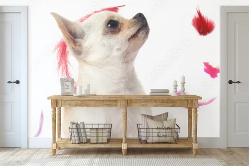 Radosne chwile z eleganckim chihuahua w różowych piórach