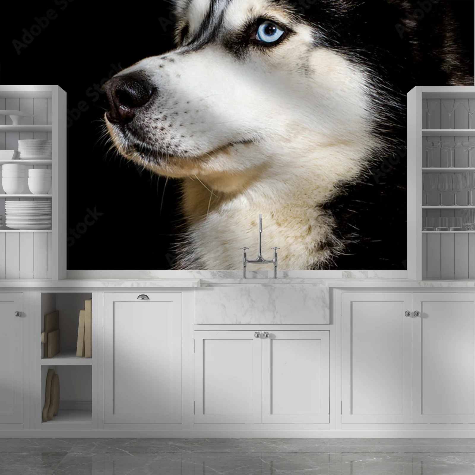 Siberian Husky w zjawiskowej scenerii nocnej