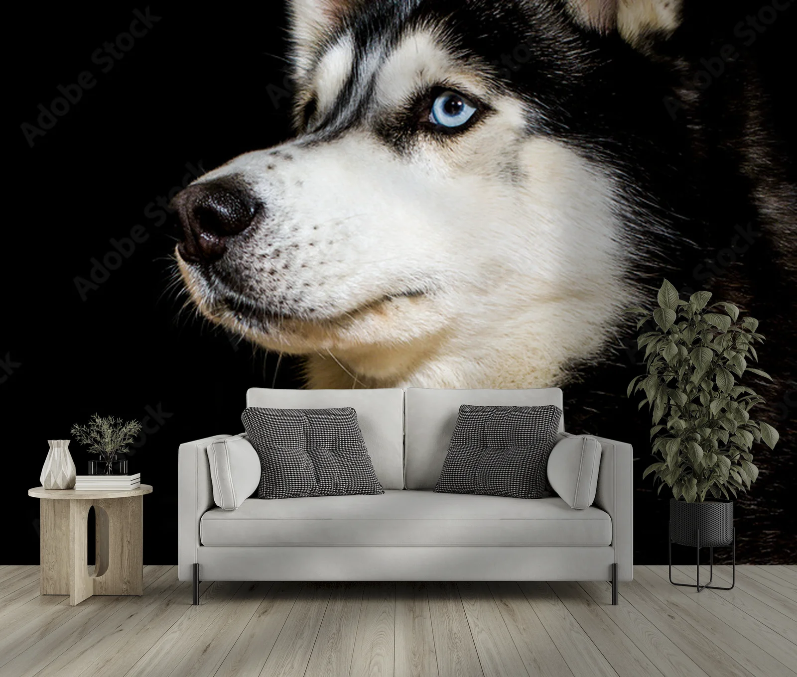 Siberian Husky w zjawiskowej scenerii nocnej