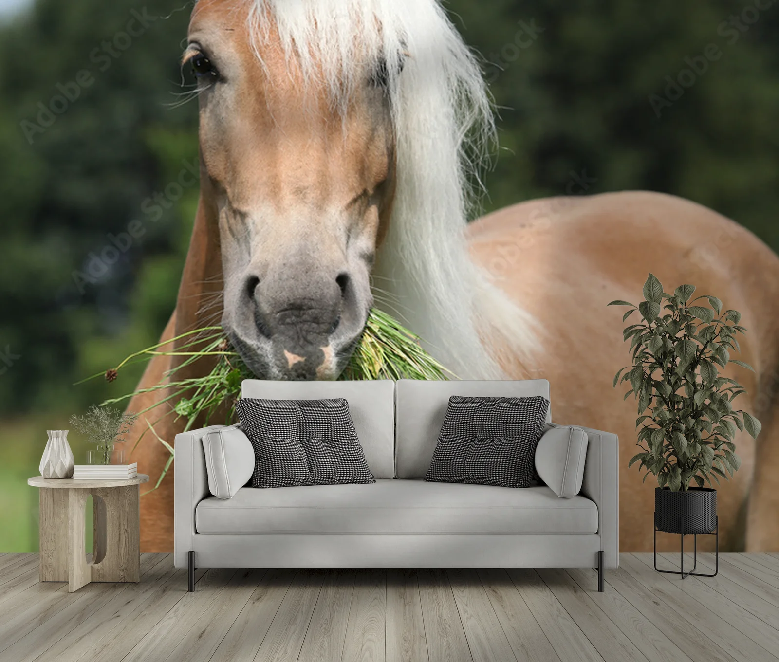 Wspaniała chwila: Haflinger w pastelowej scenerii