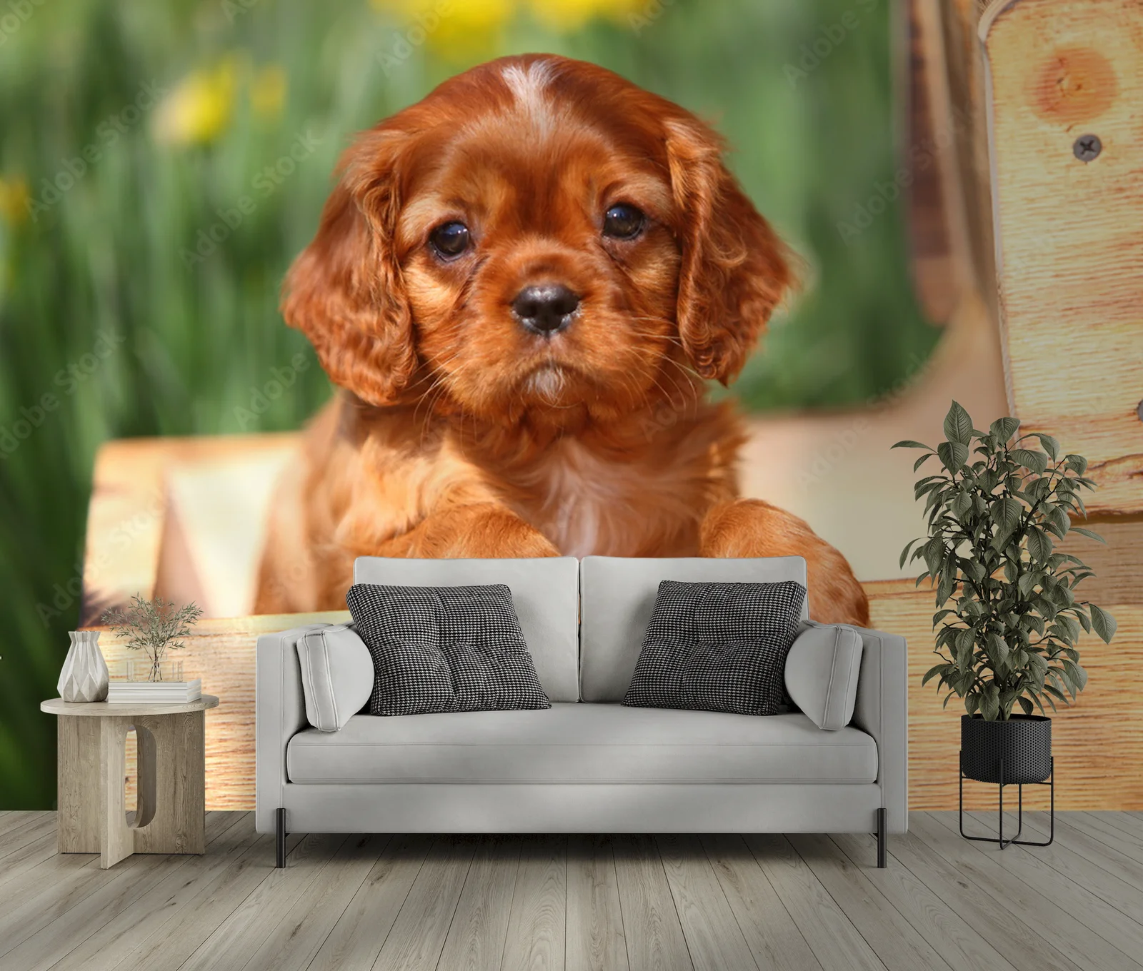 Słoneczny Cavalier w kwiecistej harmonii