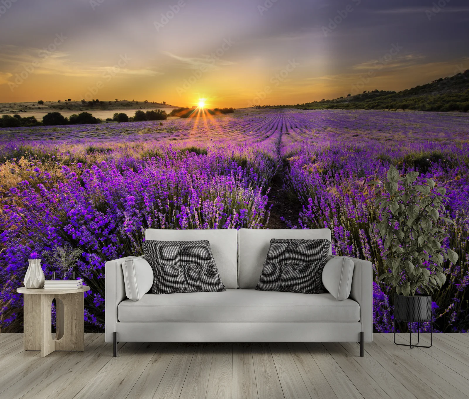 Kwiatowe wzruszenia w violetowej scenerii