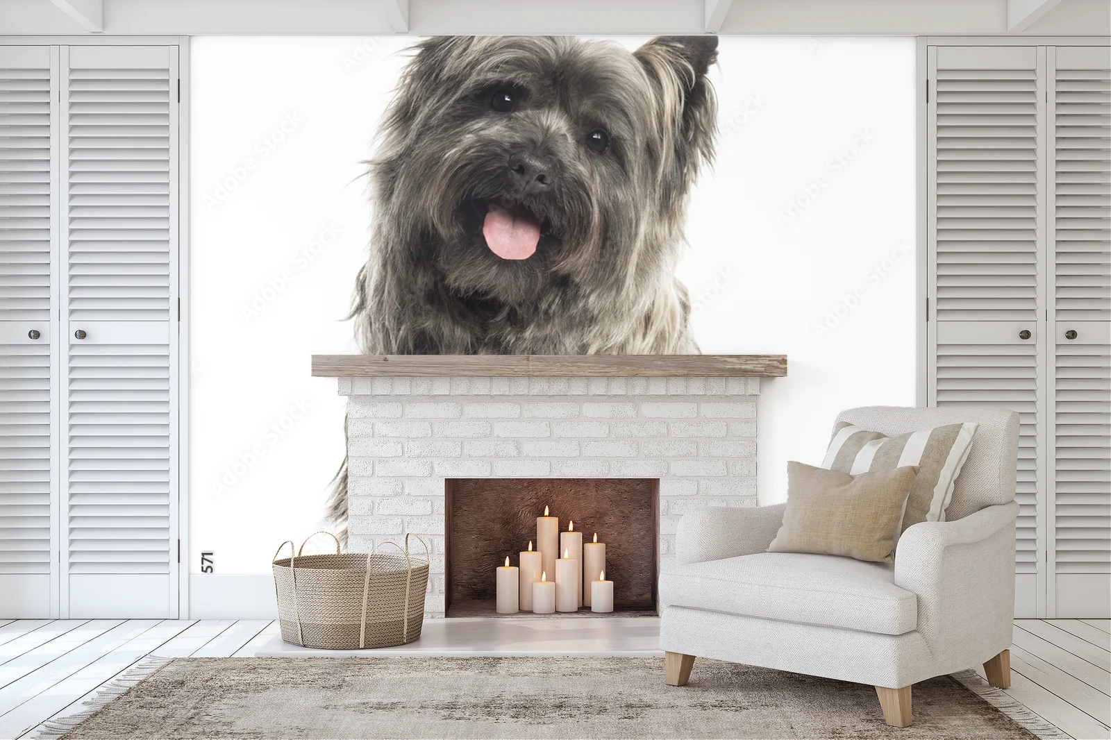 Cairn Terrier: Przyjaciel w bieli