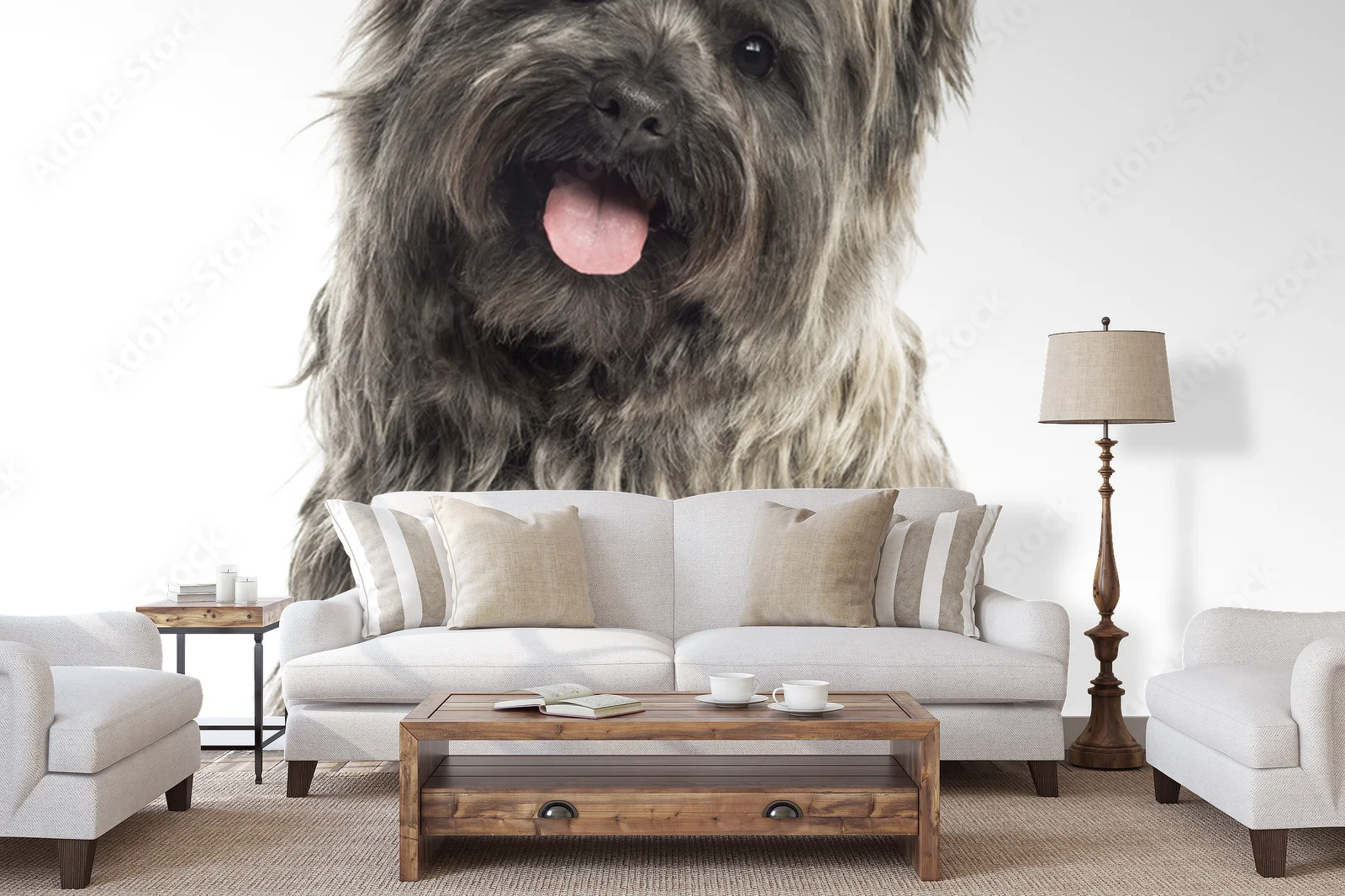 Cairn Terrier: Przyjaciel w bieli
