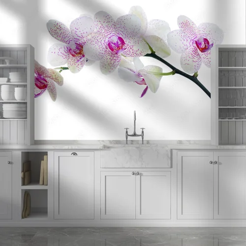Orchidea w pastelowych odcieniach w bieli