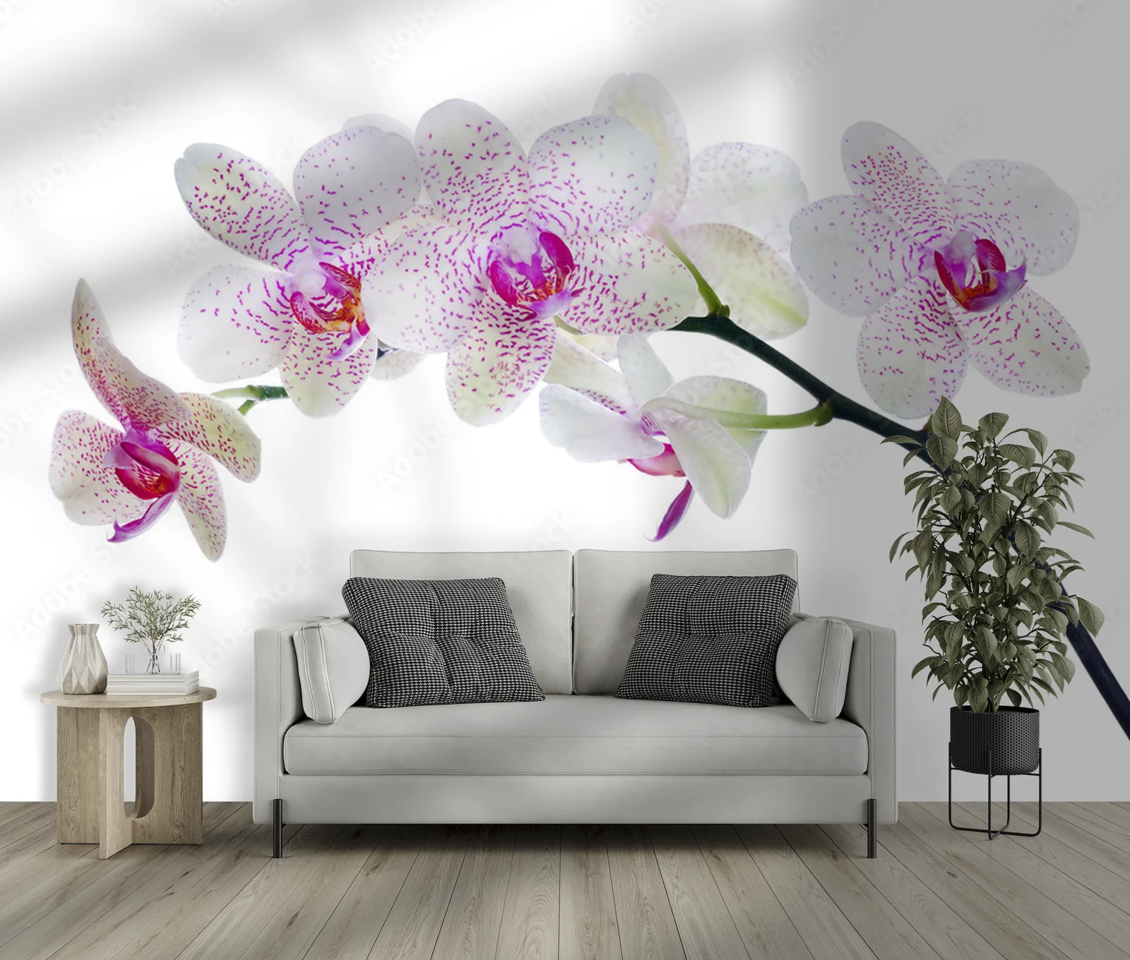 Orchidea w pastelowych odcieniach w bieli