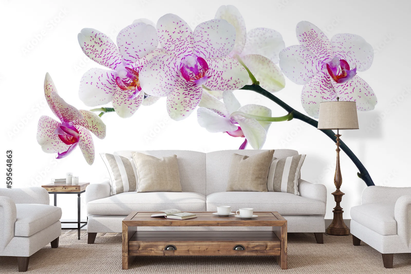 Orchidea w pastelowych odcieniach w bieli