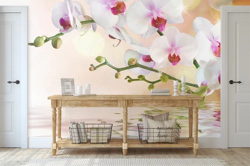 Elegancja białych orchidei na wodnych falach