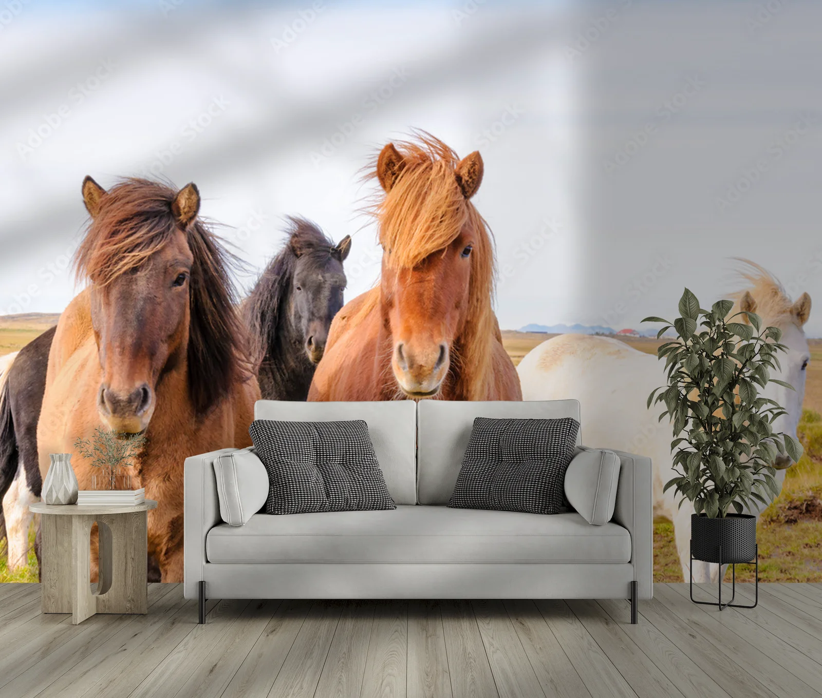Icelandic horses: dzikość i piękno natury