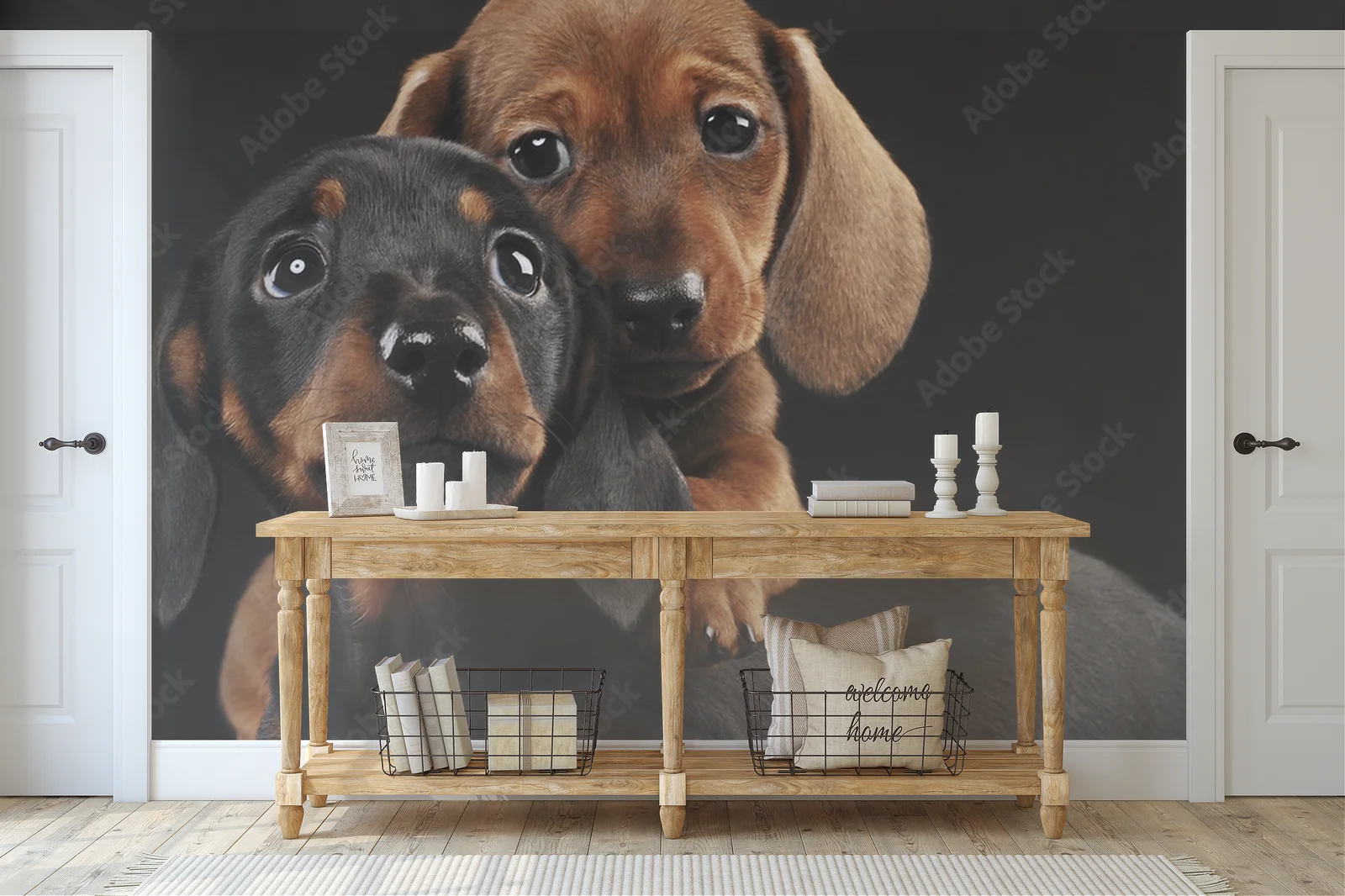 Urocze szczenięta dachshunda w tajemniczej czerni