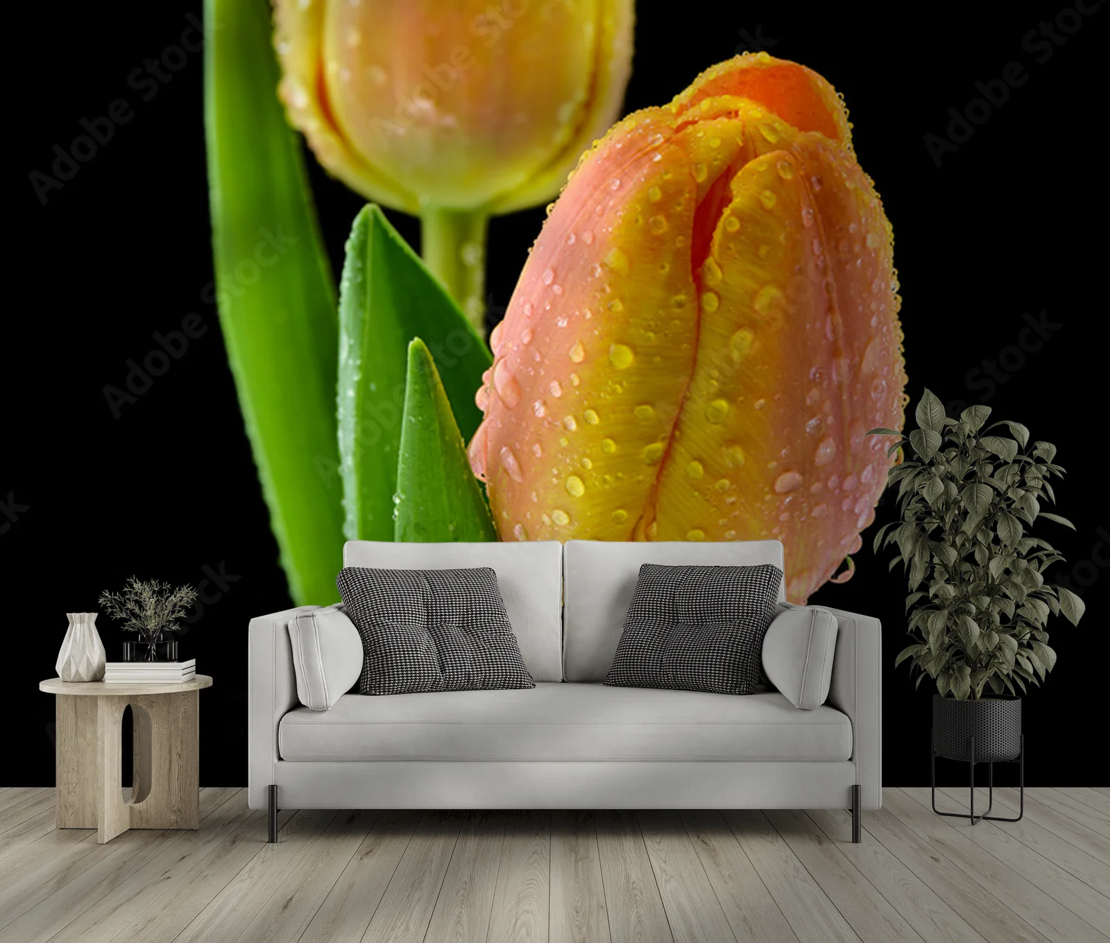 Mokre tulipany na czarnym tle – elegancka kompozycja