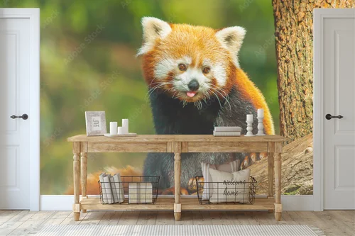 Uroczy red panda w głębi leśnych barw