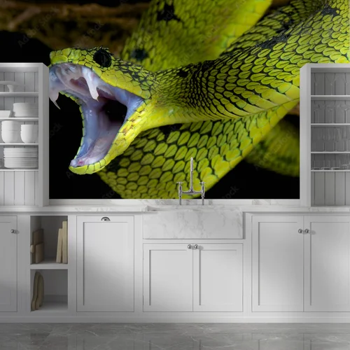Wielka gra w tropikach: Atakujący wąż Atheris