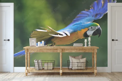 Kolorowy taniec macawów w tropikalnym raju
