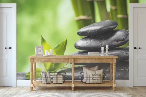 Harmonia natury: Zen w głębokiej czerni