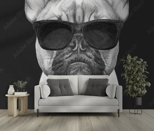 Wygodny styl w czerni: francuski buldog w modzie
