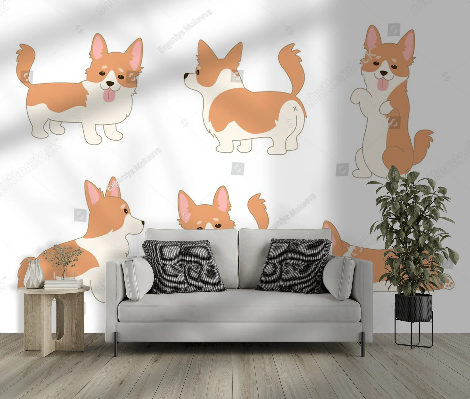 Urocze koronkowe corgi w aksamitnej bieli