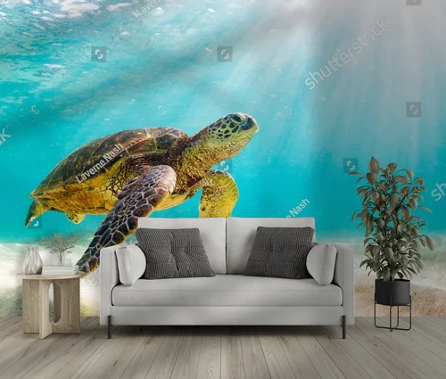 Zanurzeni w kolorach oceanu z żółwiem morskim
