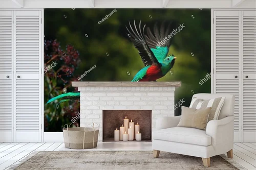 Oryginalna kompozycja z resplendentnym quetzalem