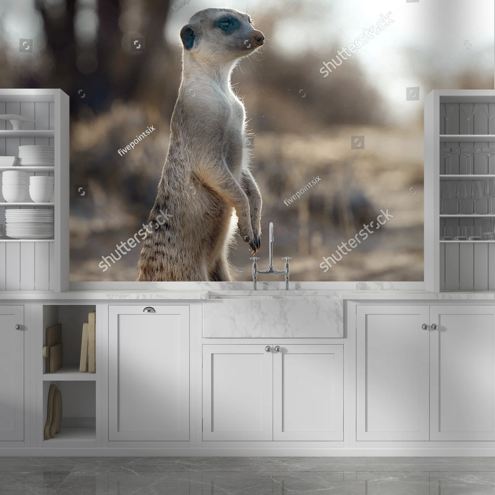 Urokliwe meerkaty w panoramie Kalahari