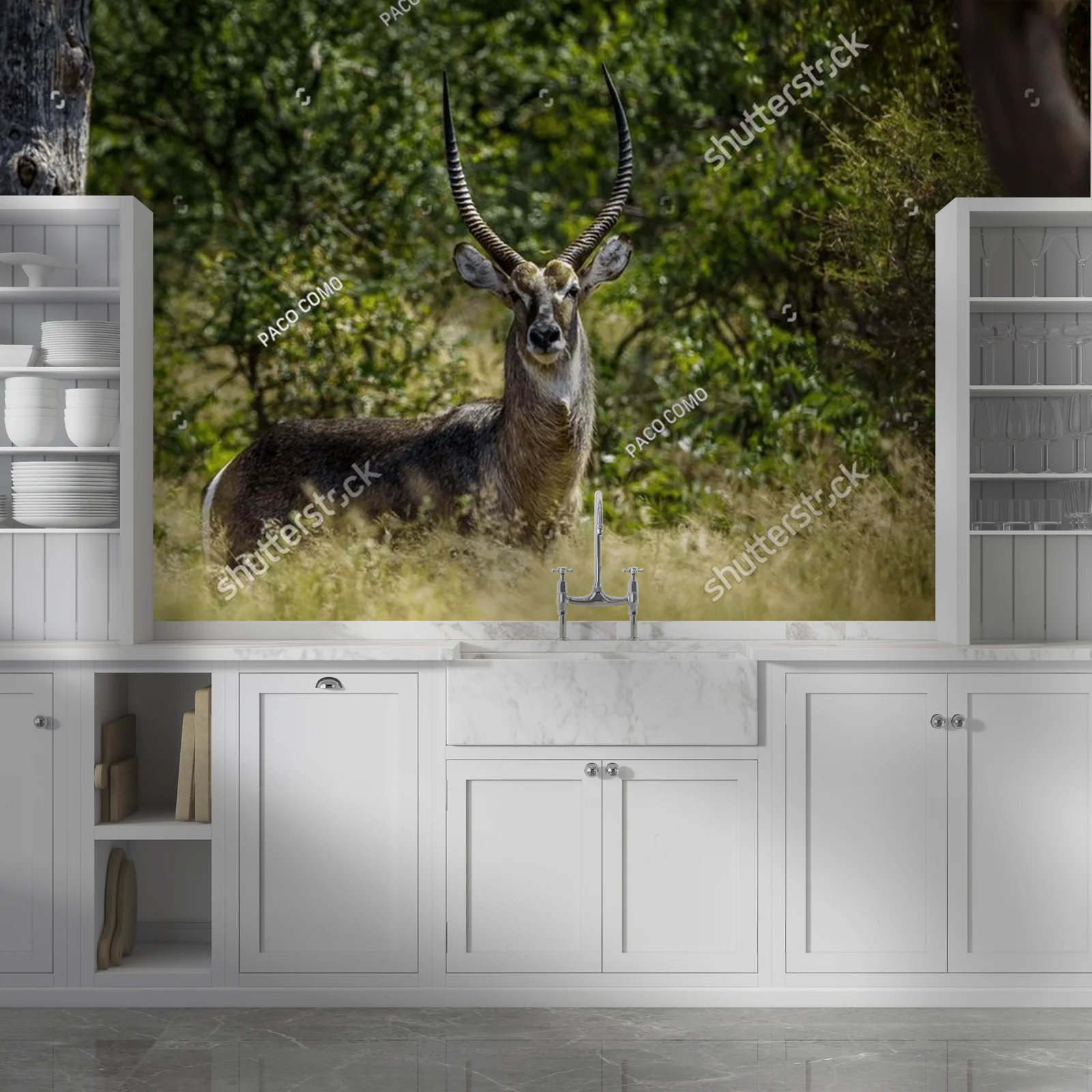 Urokliwe wody sawanny: Common Waterbuck w Krugerze