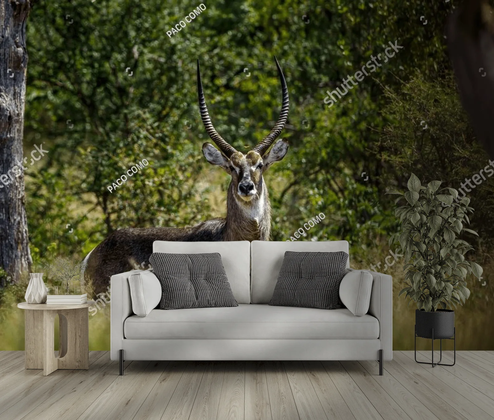 Urokliwe wody sawanny: Common Waterbuck w Krugerze