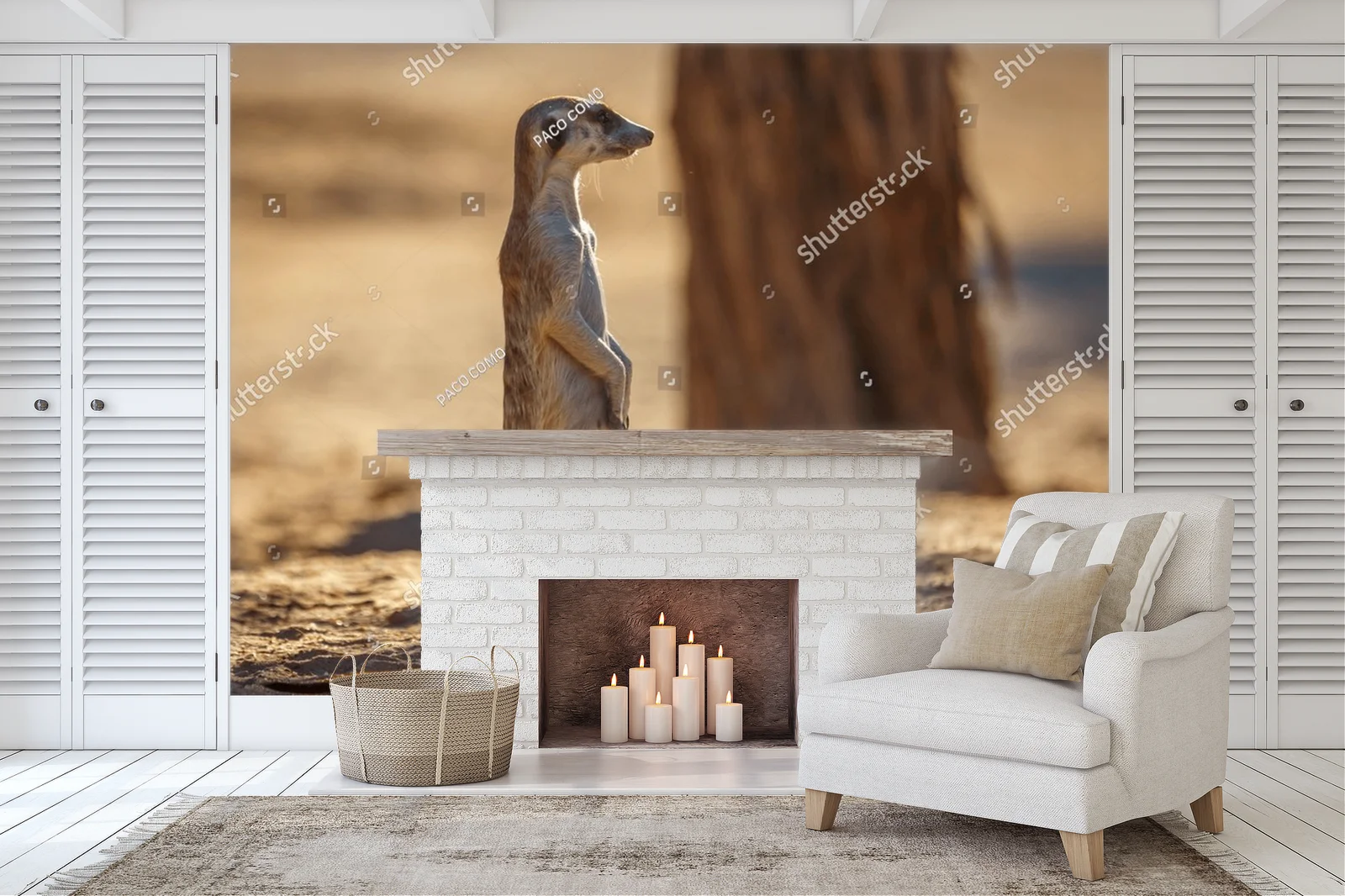 Cudowny świat meerkatów na pustyni Kalahari