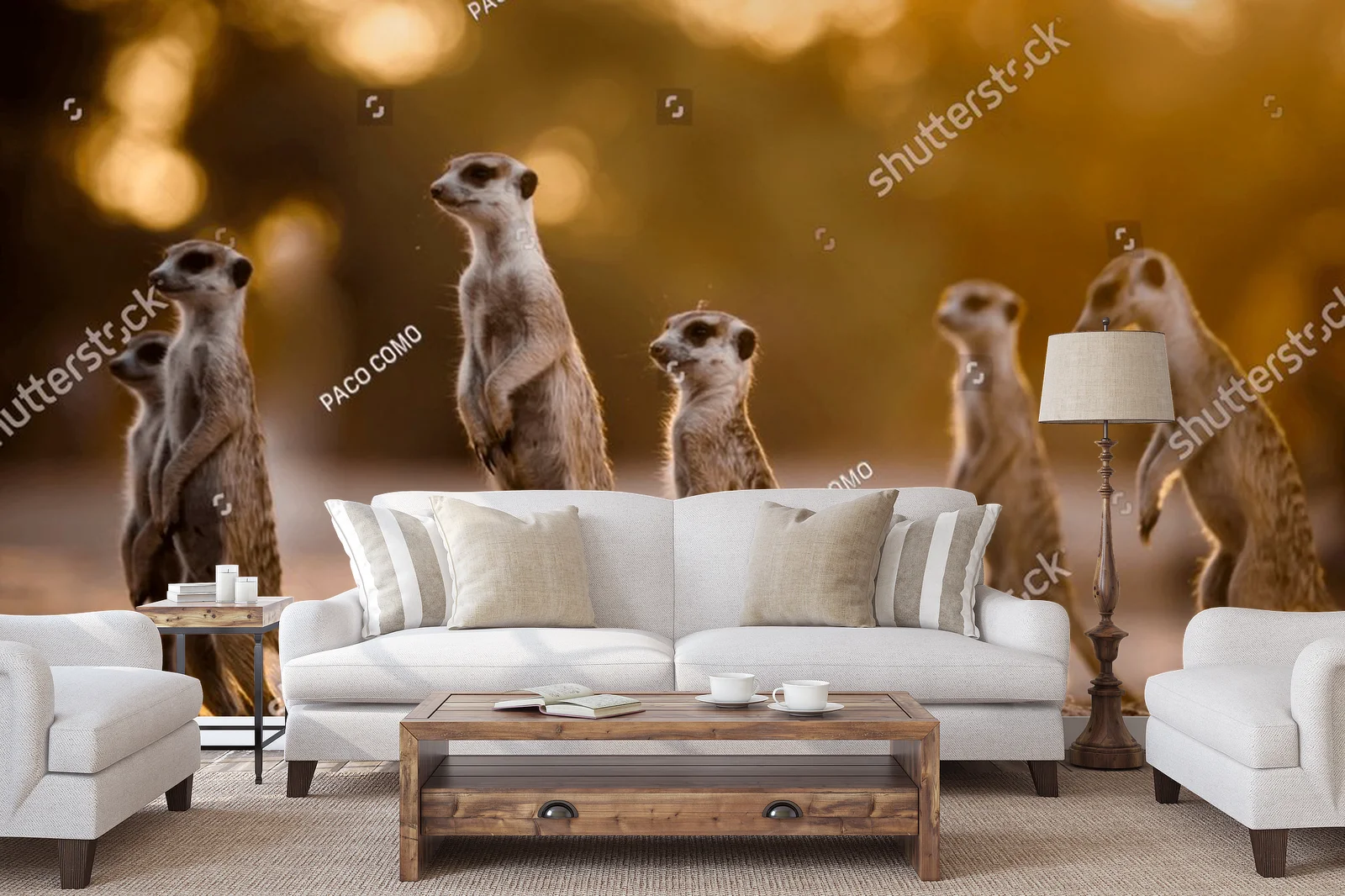 Urokliwy poranek z surykatkami w Kgalagadi