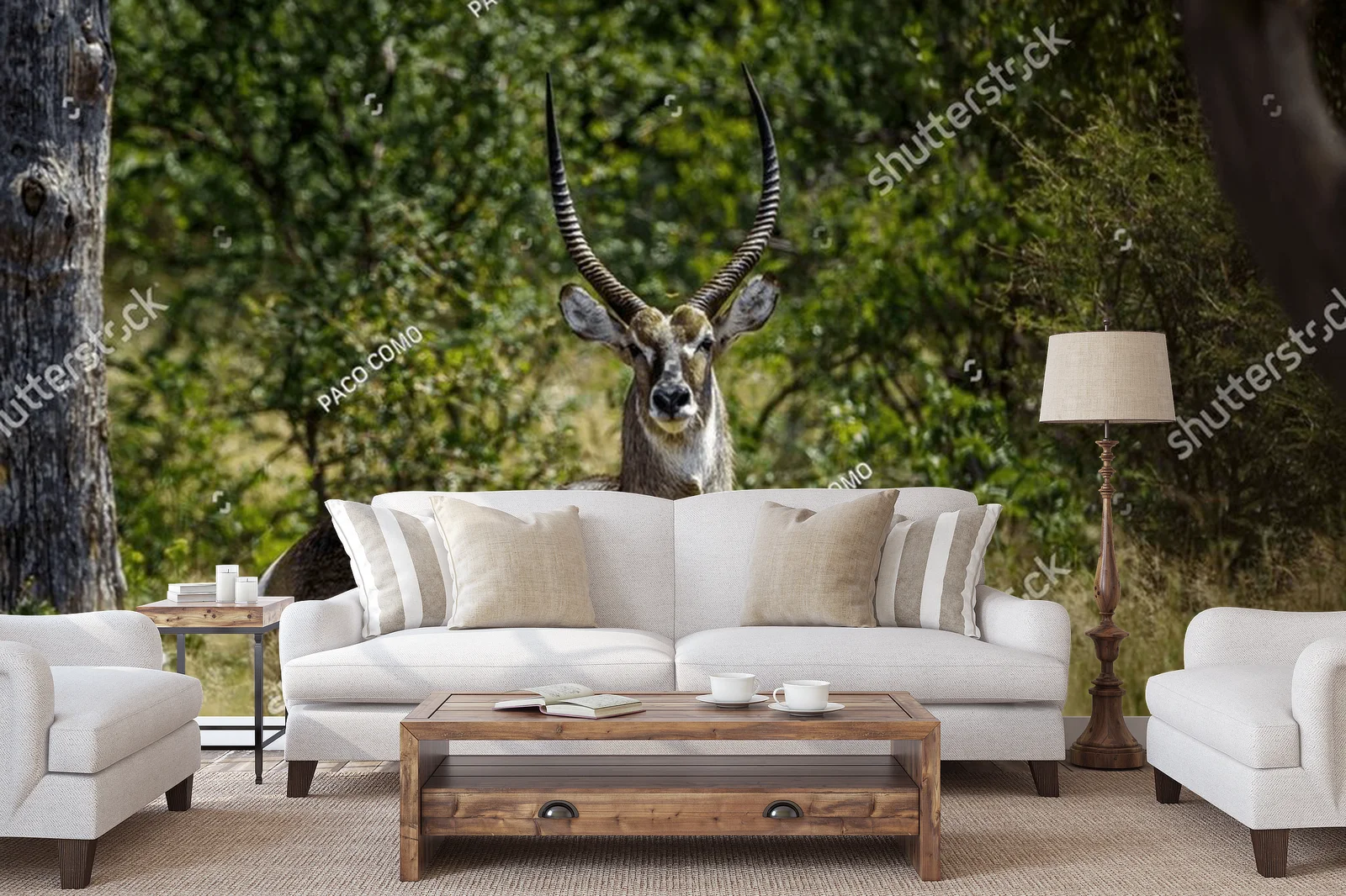 Urokliwe wody sawanny: Common Waterbuck w Krugerze