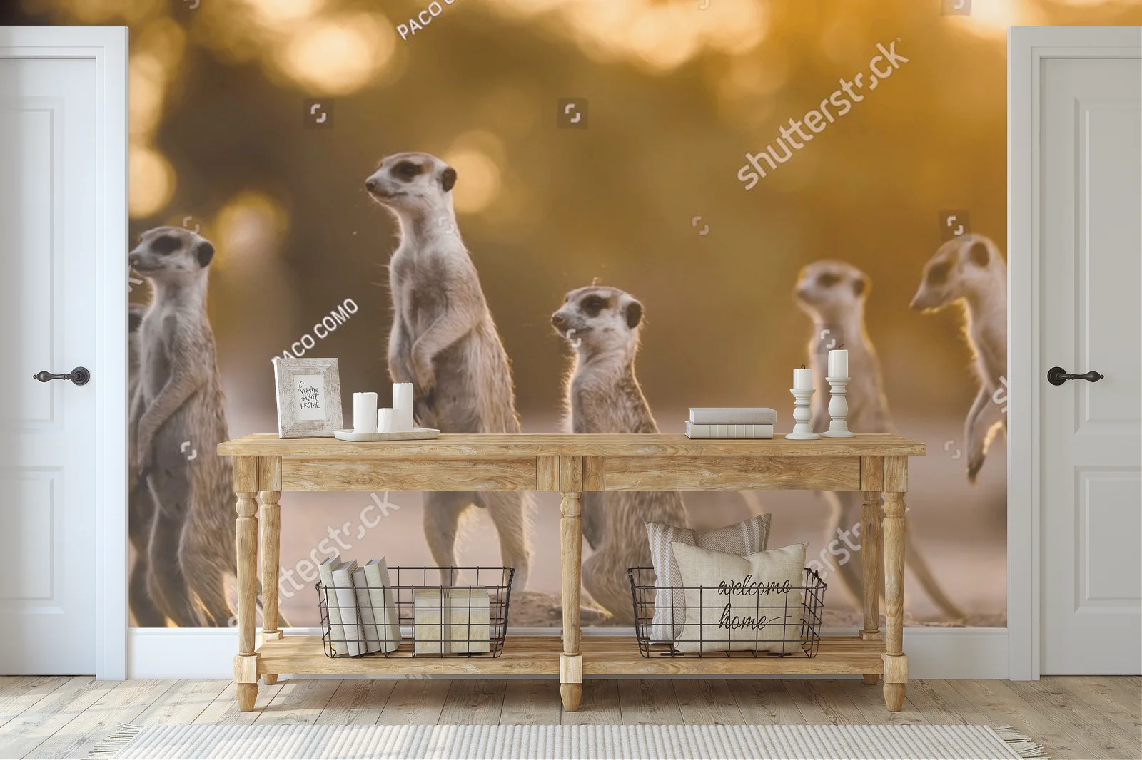 Urokliwy poranek z surykatkami w Kgalagadi