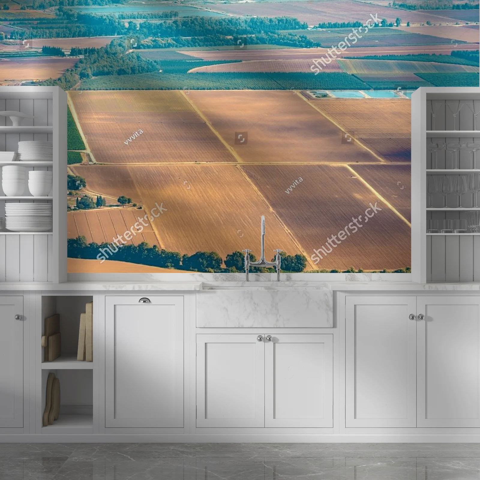 Olive Groves and Fields: A Landscape of Tranquility