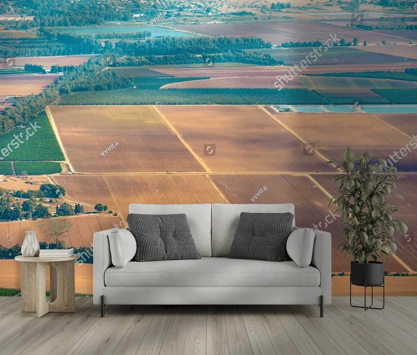 Olive Groves and Fields: A Landscape of Tranquility
