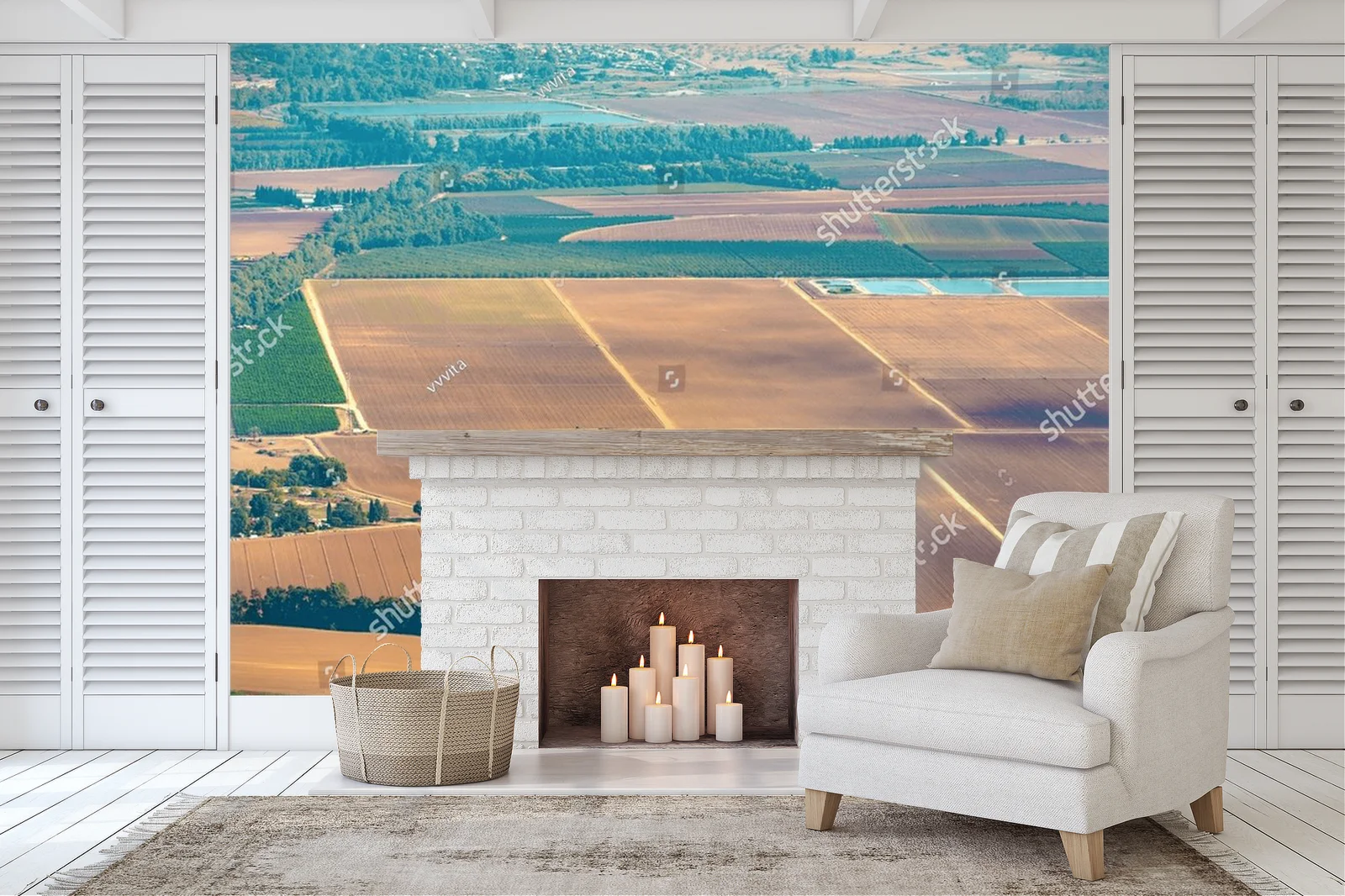 Olive Groves and Fields: A Landscape of Tranquility