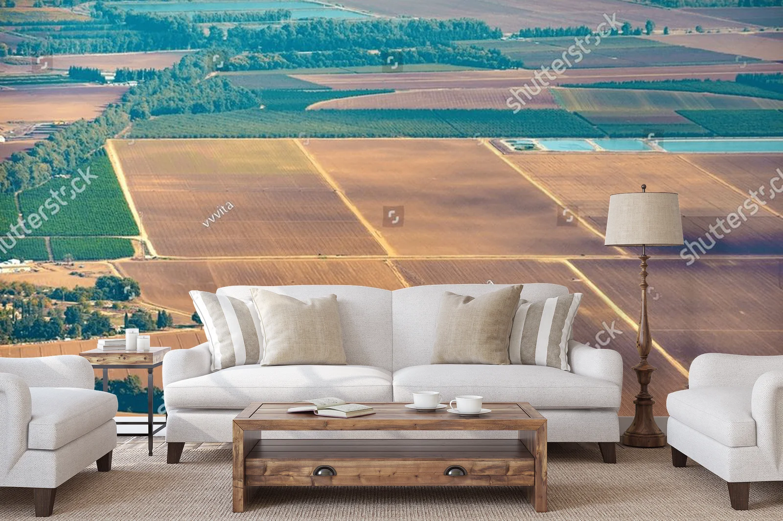 Olive Groves and Fields: A Landscape of Tranquility