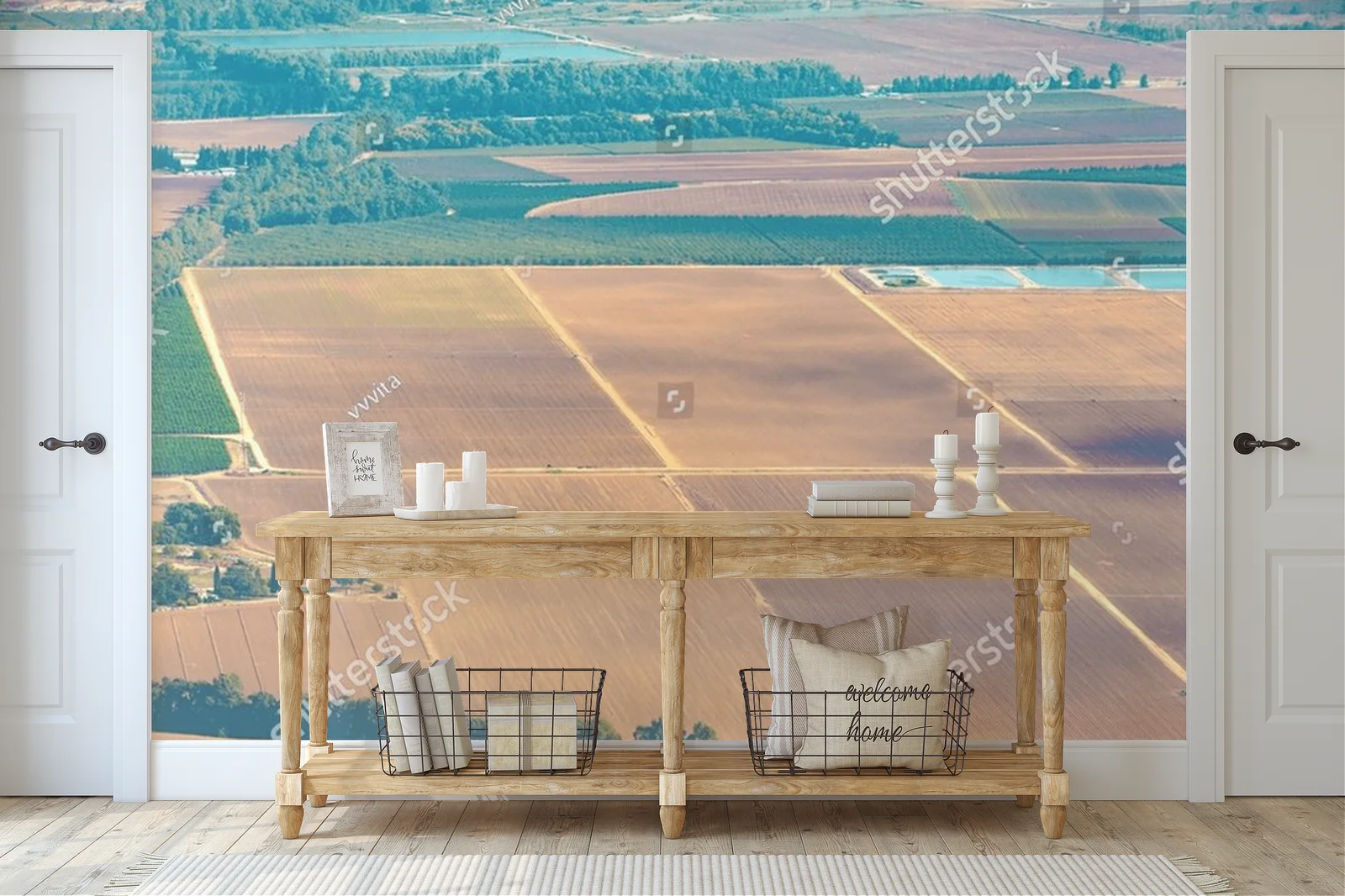Olive Groves and Fields: A Landscape of Tranquility