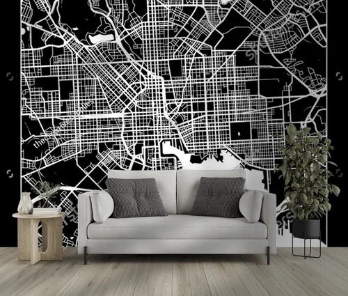 Elegancka mapa Baltimore w monochromatycznych odcieniach